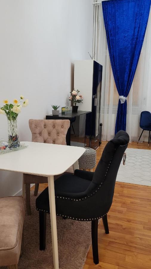 Opera Victoriei Residence - Ultracentral Cozy Accommodation Timisoara Exterior photo