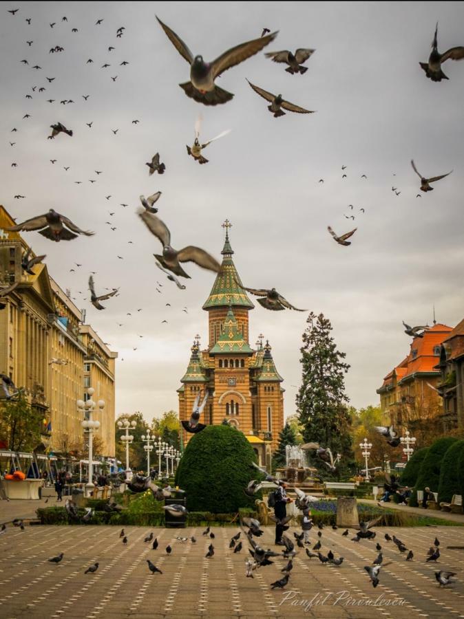 Opera Victoriei Residence - Ultracentral Cozy Accommodation Timisoara Exterior photo